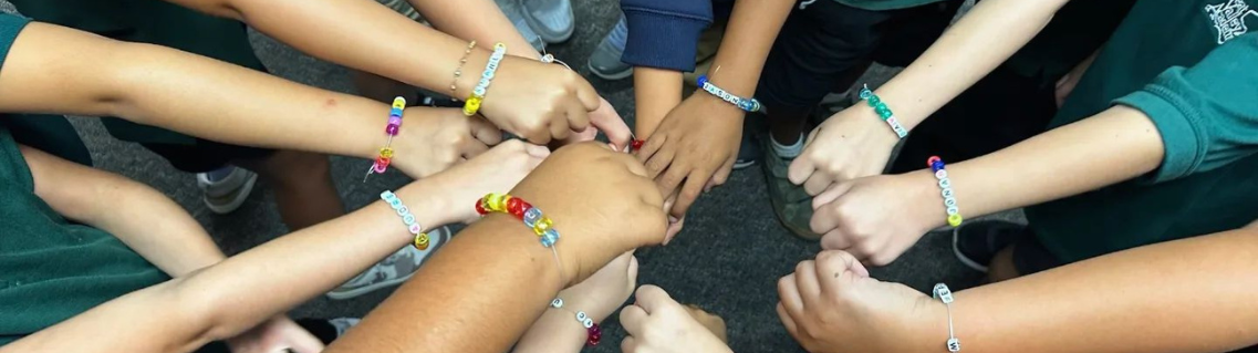 Header image for Our Schools